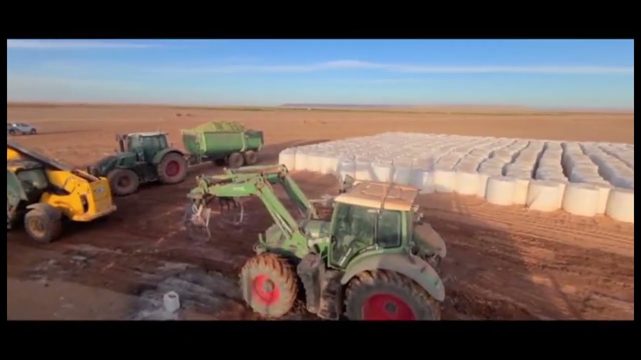Production de l'Ensilage de Maïs -- إنتاج سيلاج الذرة