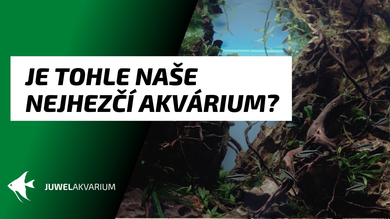 Je tohle naše nejhezčí akvárium? Zakládáme Oase ScaperLine 90