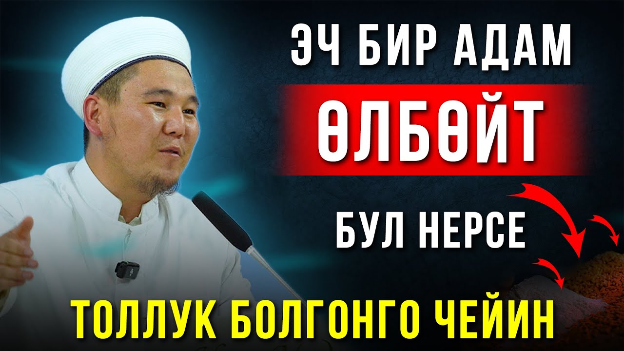 Эч бир адам өлбөйт бул нерсе толлук болгонго чейин.