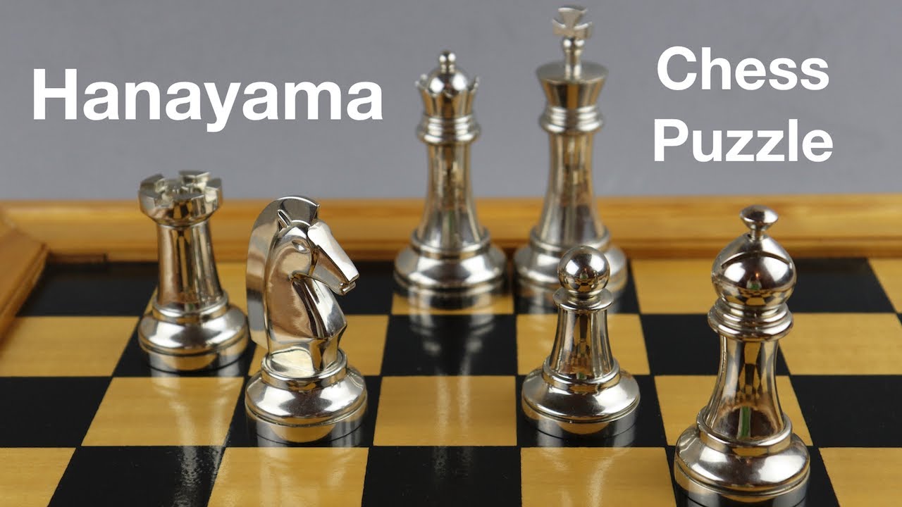 Hanayama Chess Puzzle