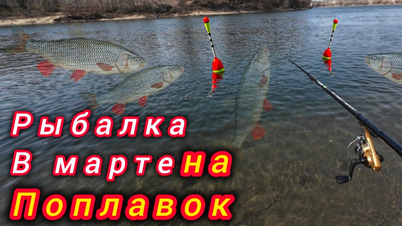 Ловля на Поплавок на реке Днестр! Рыбалка в Марте на поплавок 2025.