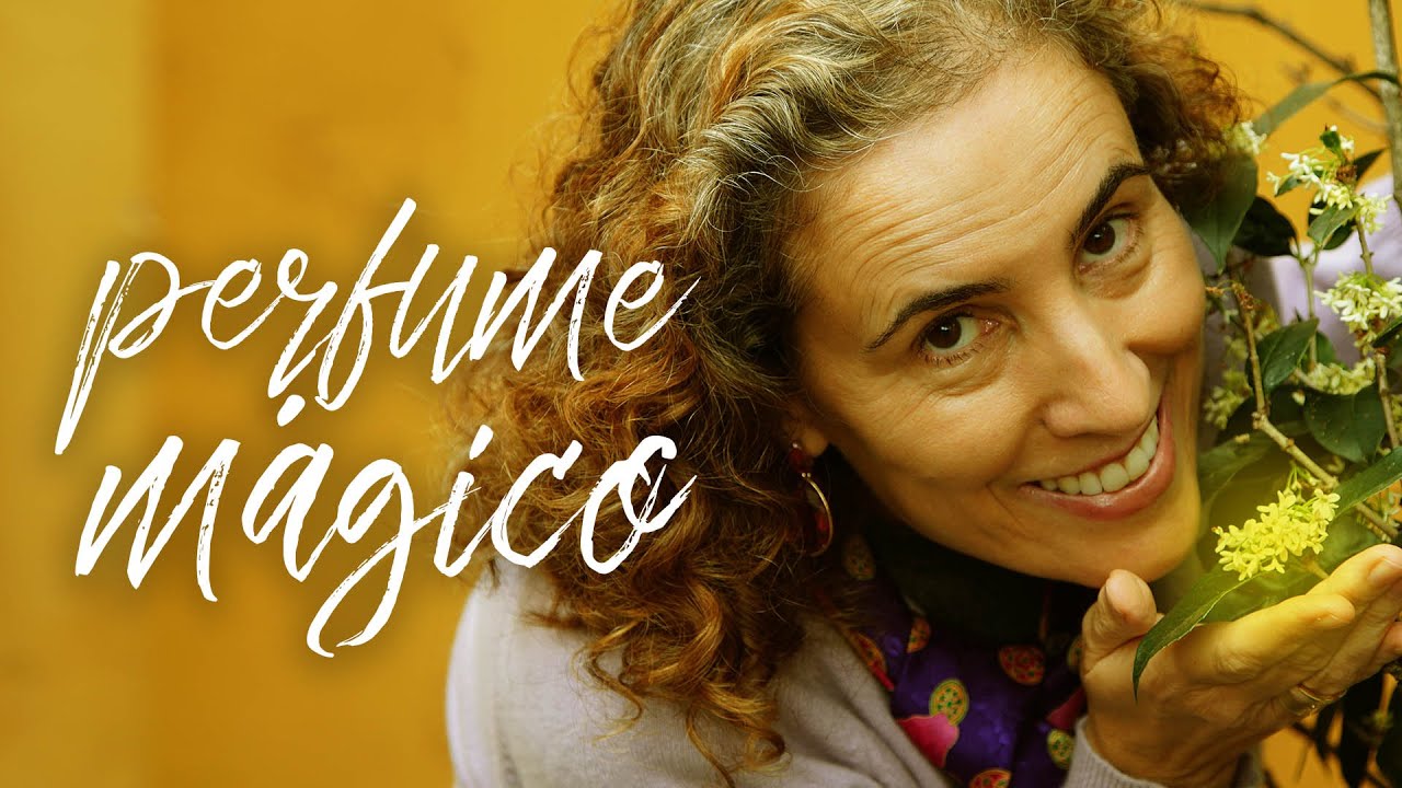 JASMIM DO IMPERADOR - DICAS DE CULTIVO | Nô Figueiredo