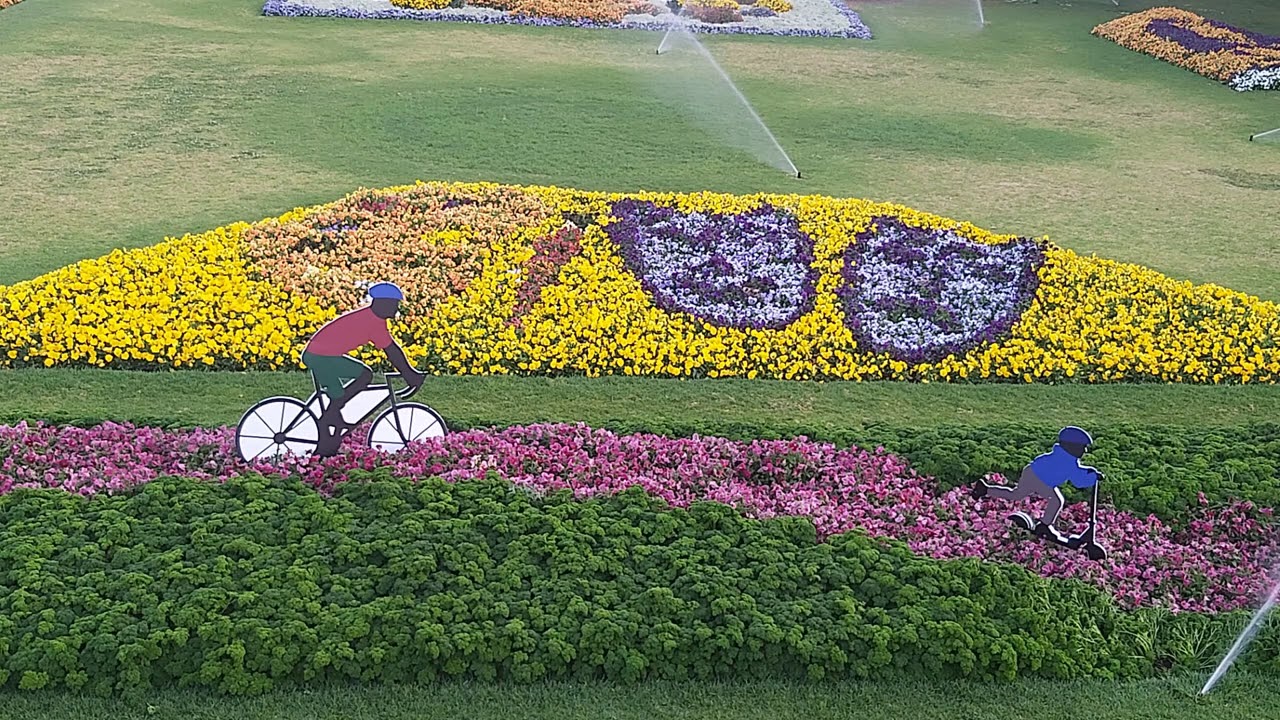 Carnival Of Flowers #2 Laurel Bank Park Toowoomba 2020