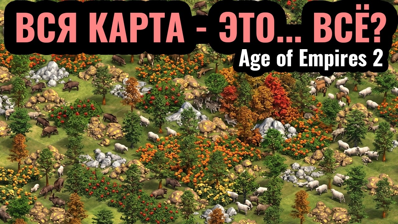 Генератор карт СОШЁЛ С УМА: Вся карта - это ВСЁ в Age of Empires 2
