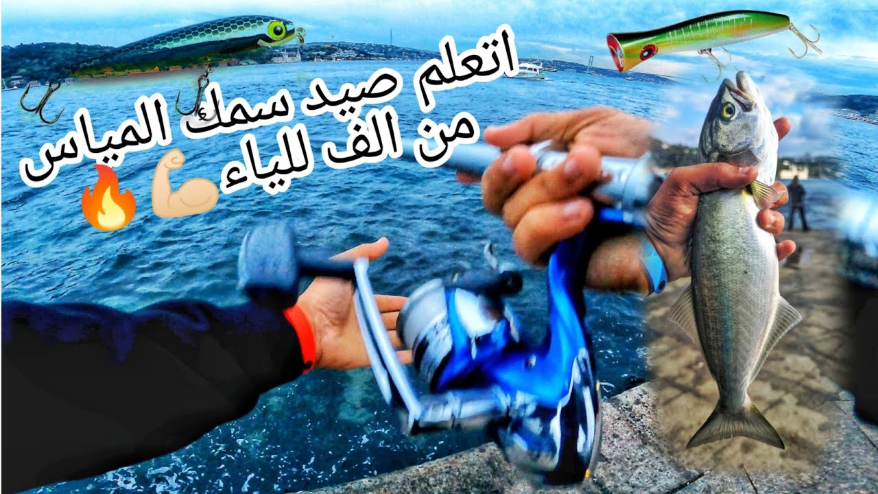 هتكون معلم في الصيد بعد الفيديو ده🔥🌊 شرح الادوات بالتفصيل وطريقة صيد المياس من الالف للياء للمبتدئين