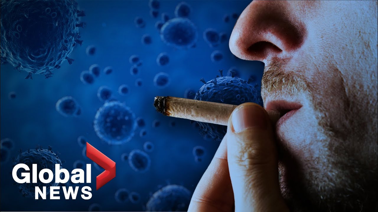 Have Canadian cannabis users increased their usage during the pandemic?