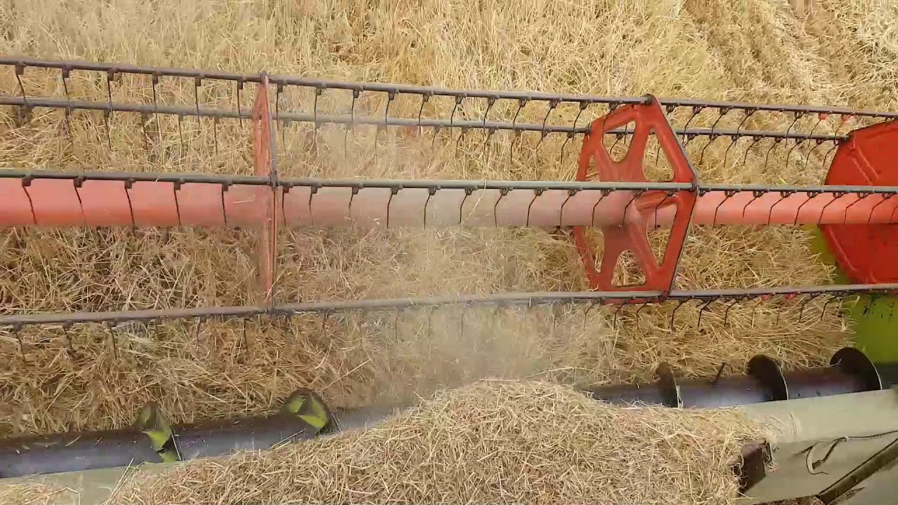 Combining July 2018 Lexion 420