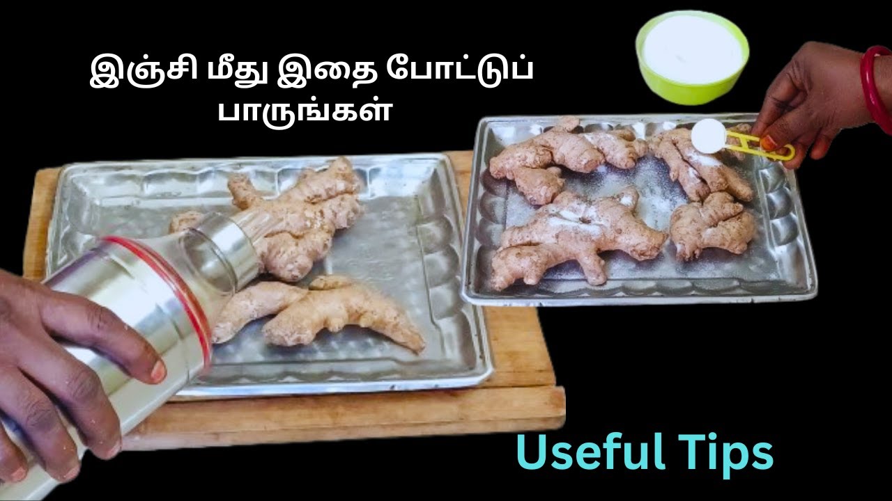 சும்மா இருக்கிற நேரத்தில் இவ்வளவு விஷயங்கள் செய்யலாம் / Amazing kitchen tips in tamil