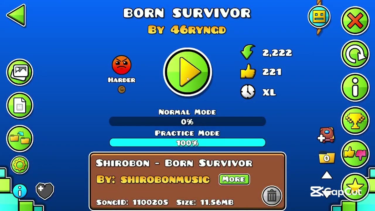 Born Survivor | By @46ryngd