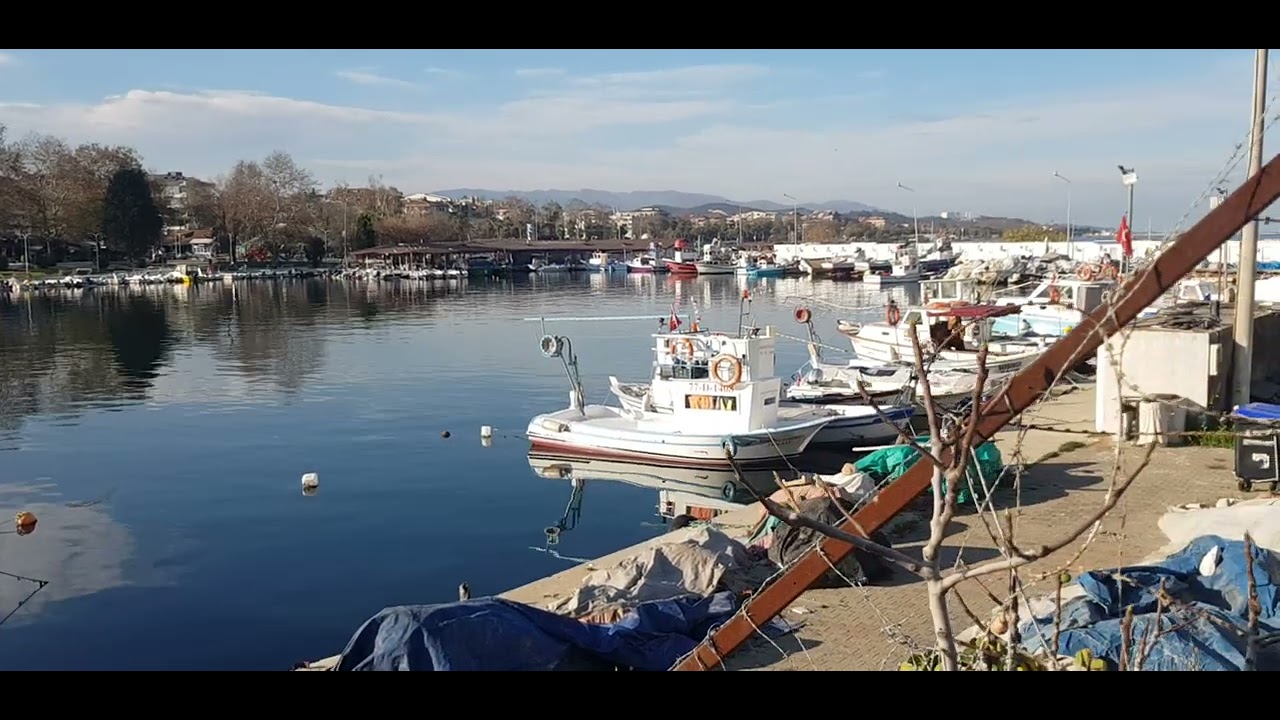 Yalova turkey 2025 kudis