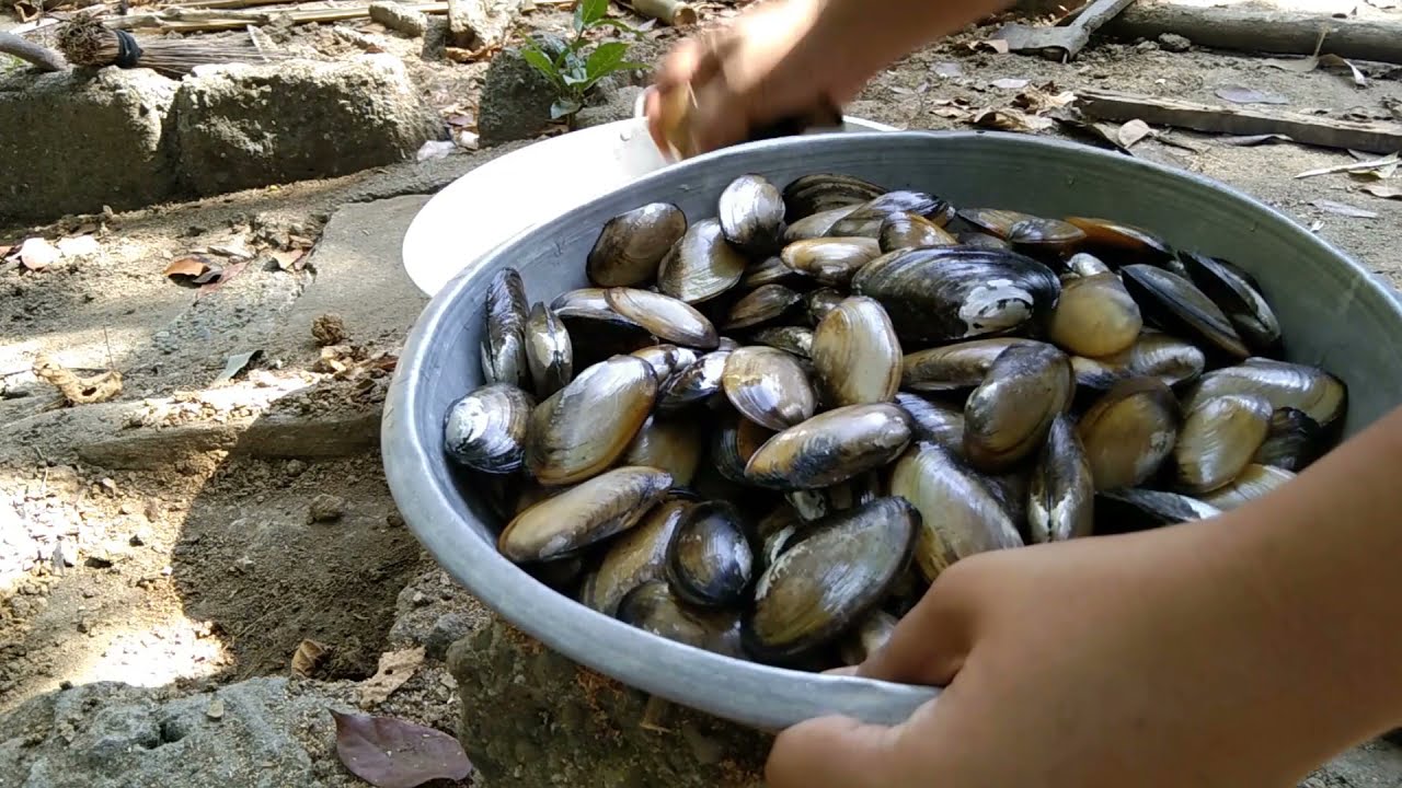 How to Cook Ginataang BILDAT! Pwedeng PULUTAN?!  [Episode 04] KeEvin TV