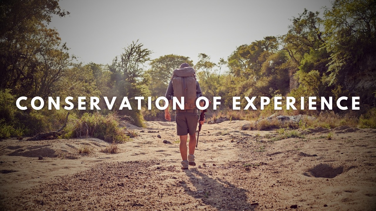 Conservation of Experience