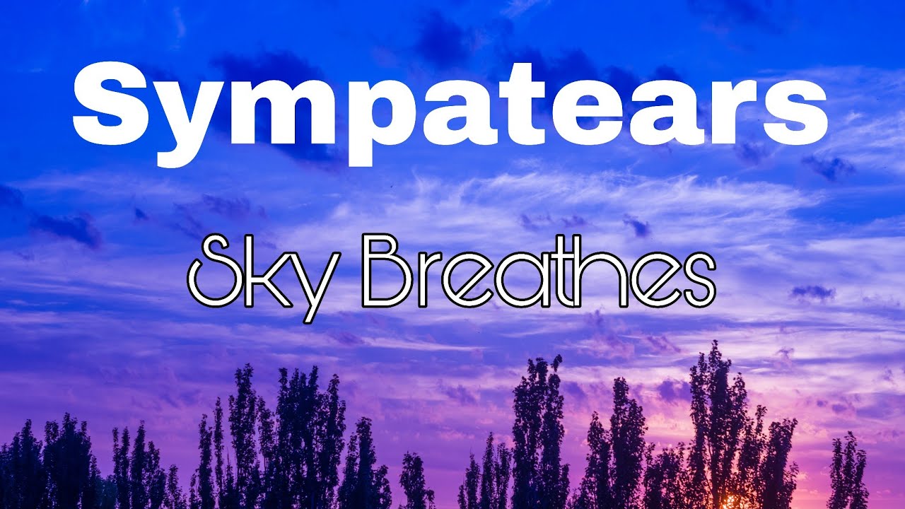 Sympatears - Sky Breathes [live session]
