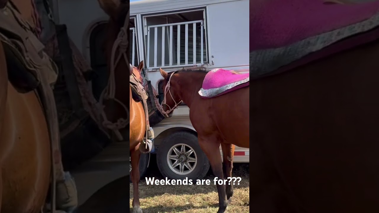 #rodeotime  #westernlifestyle #weekend
