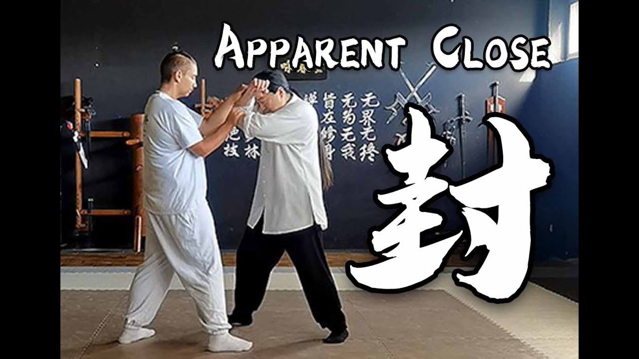 Tai Chi 24 Application - Section 22: Apparent Close - 如封似闭