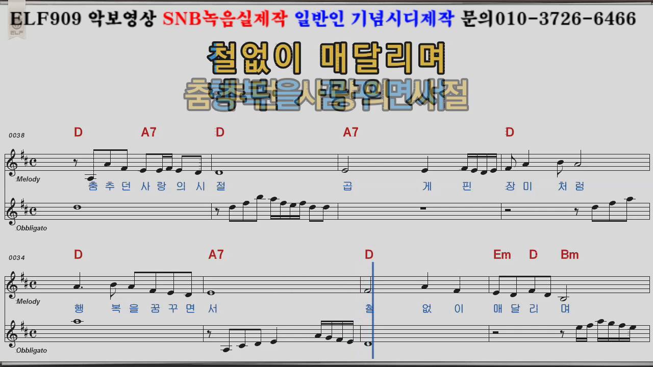 애정이꽃피던시절