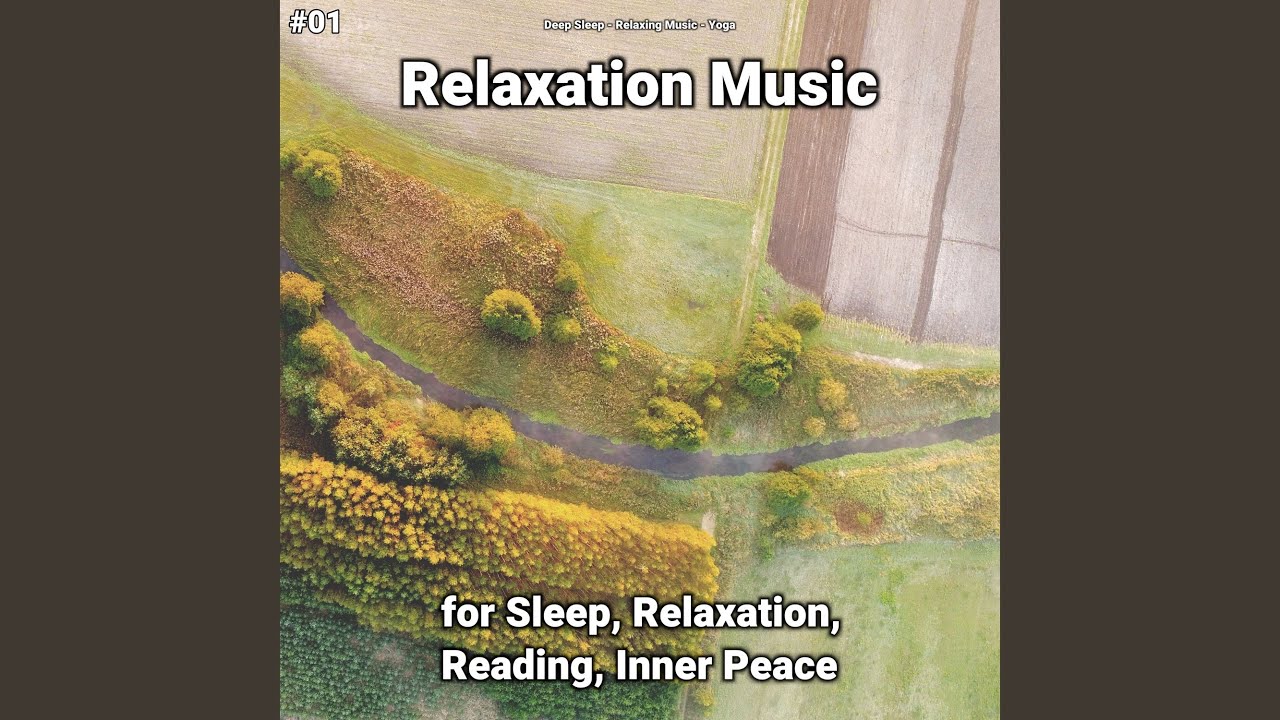 Calm Sounds for Concentration