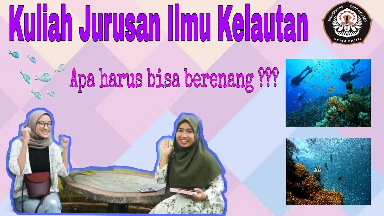 Kuliah Ilmu Kelautan UNDIP, apa harus bisa berenang?