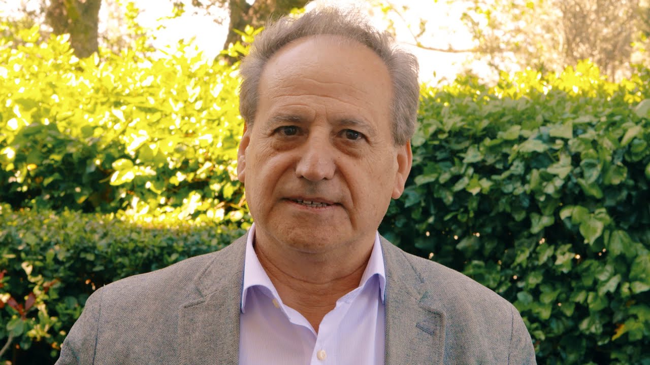 Josep Maria Griny&oacute; explains how &lsquo;Slow Science&rsquo; leads to radical innovation in transplantation