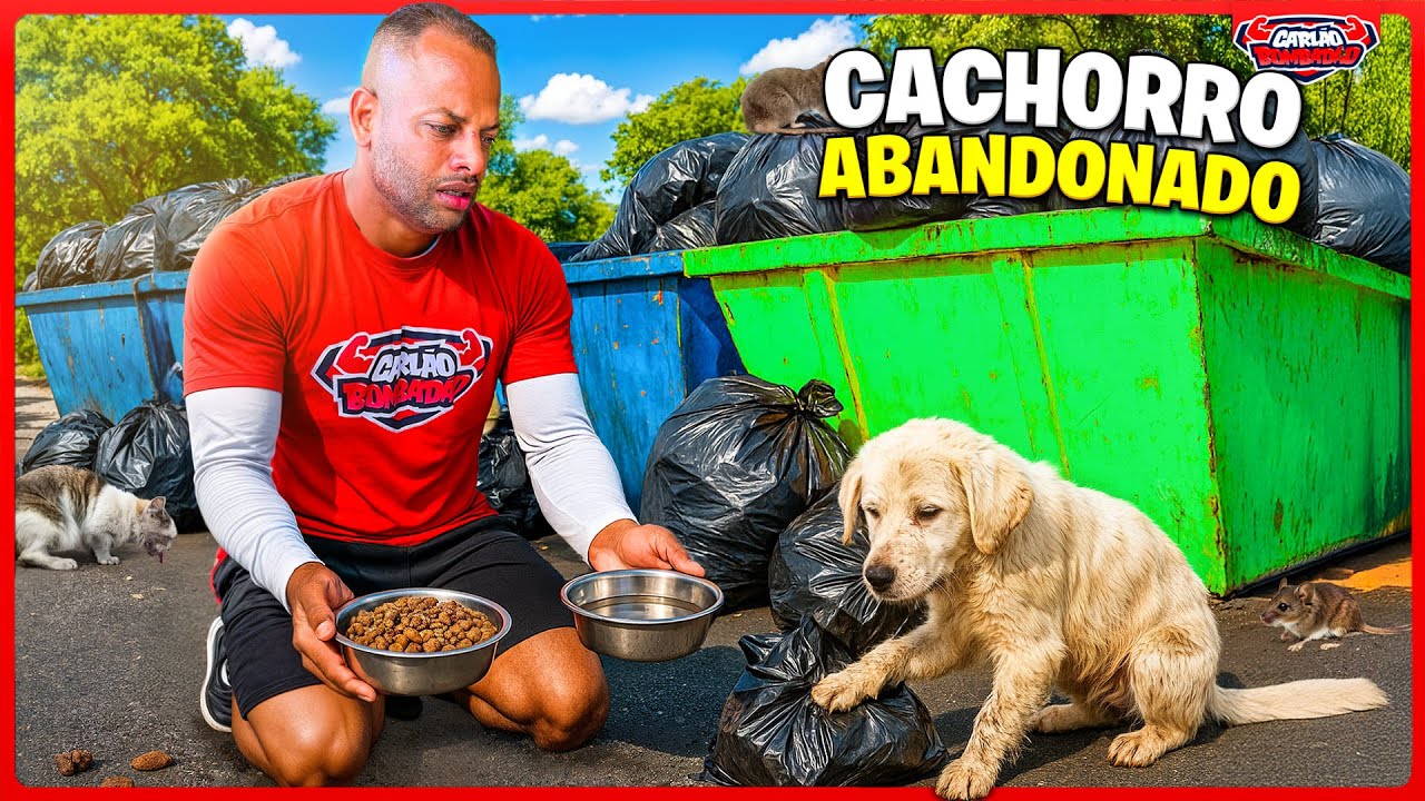 SALVANDO CACHORROS ABANDONADOS PELA CIDADE ! - EMOCIONANTE