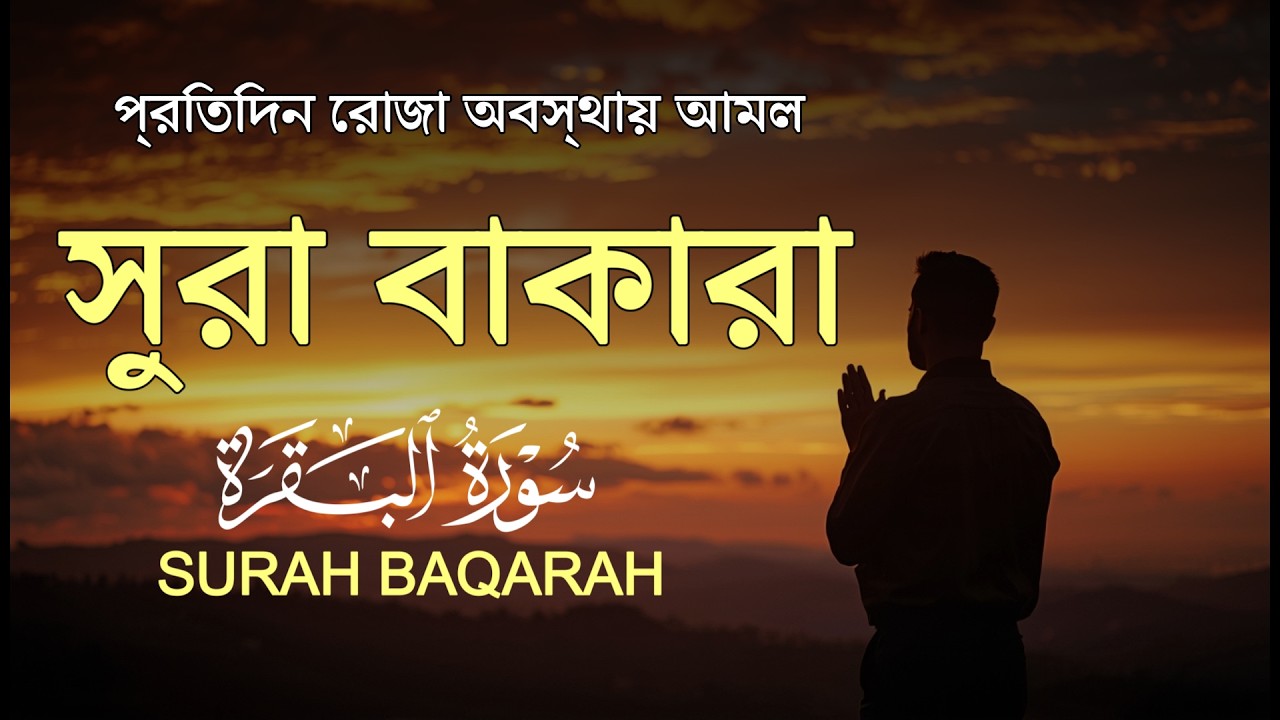 ঘরের উন্নতির জন্য সূরা আল বাকারা প্রতিদিন শুনুন । Surah Baqarah  Quran Recitation by Alaa Aqel