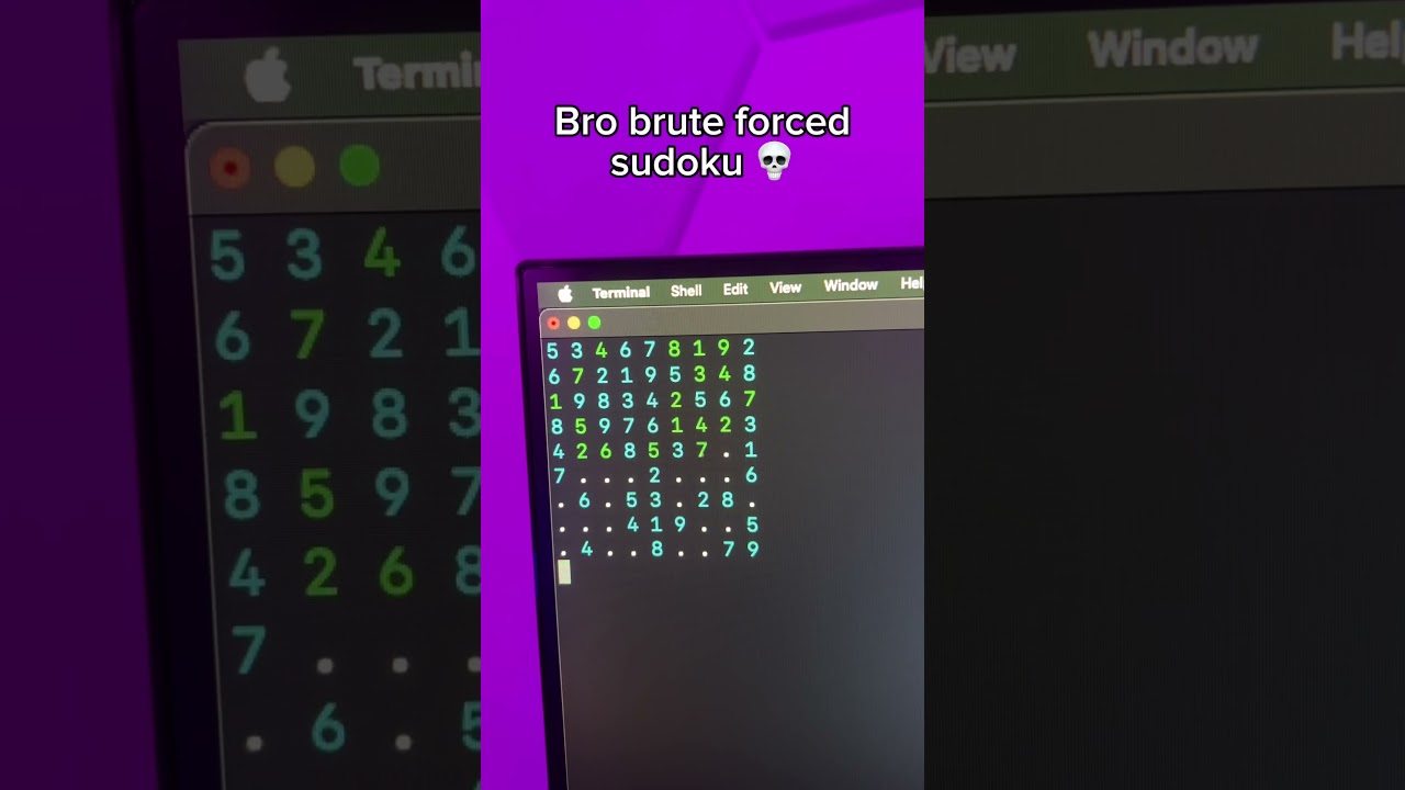 Bro brute forced sudoku 