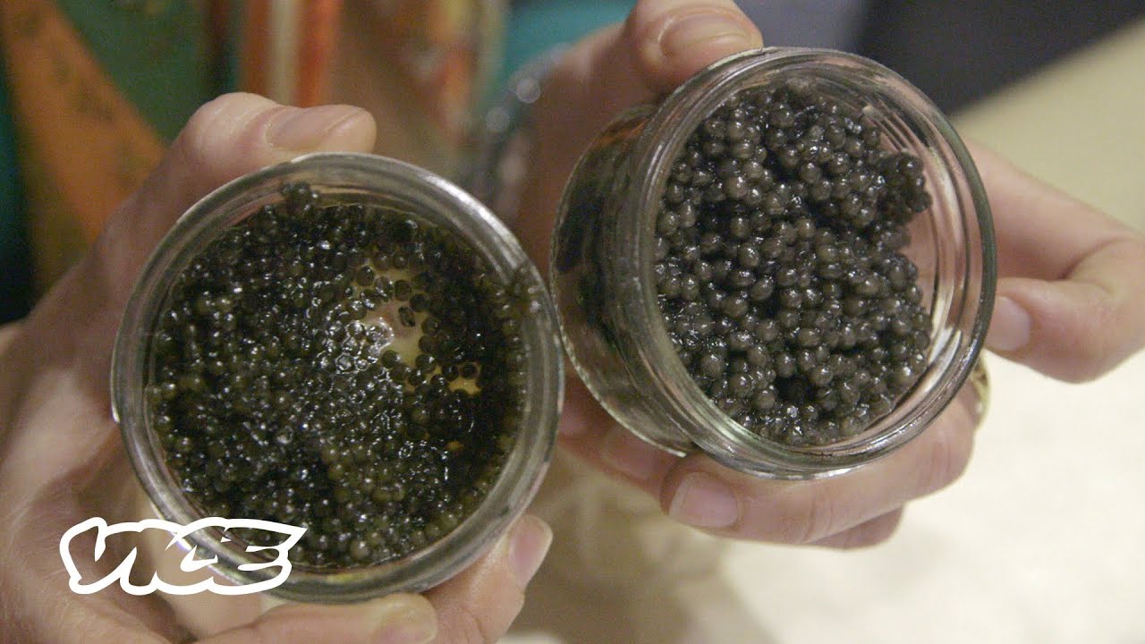 Tehran: Beluga Caviar is Black Gold