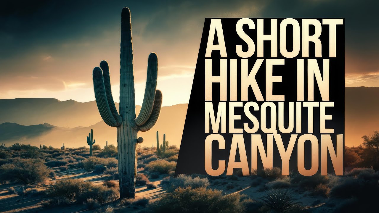 A Beautiful Sunrise Hike In Mesquite Canyon