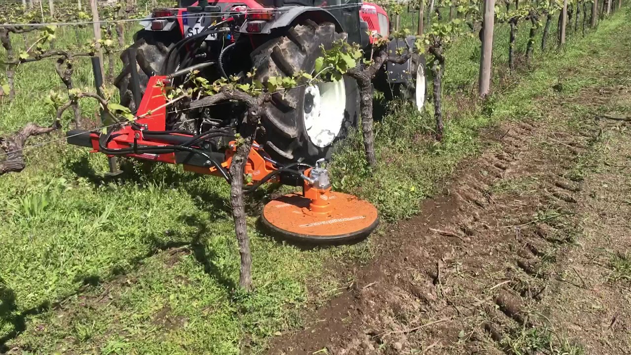 INTERCEPAS  DISCO PARA VINHA POMAR