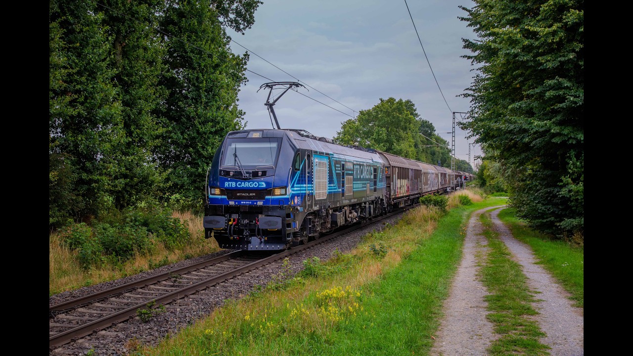 Many Cool Trains At The Dutch - German Border Route!!