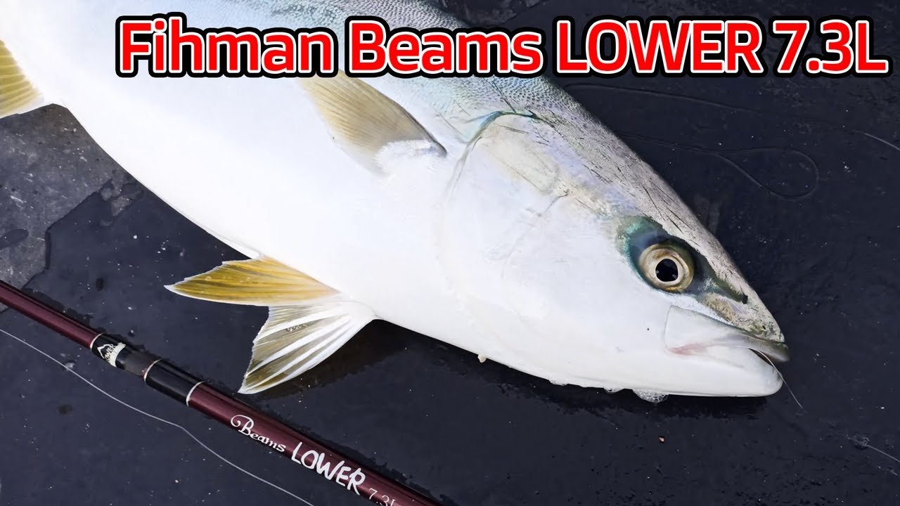 Fishman Beams Lower7.3L で青物を掛けるとこんな感じに曲がります。