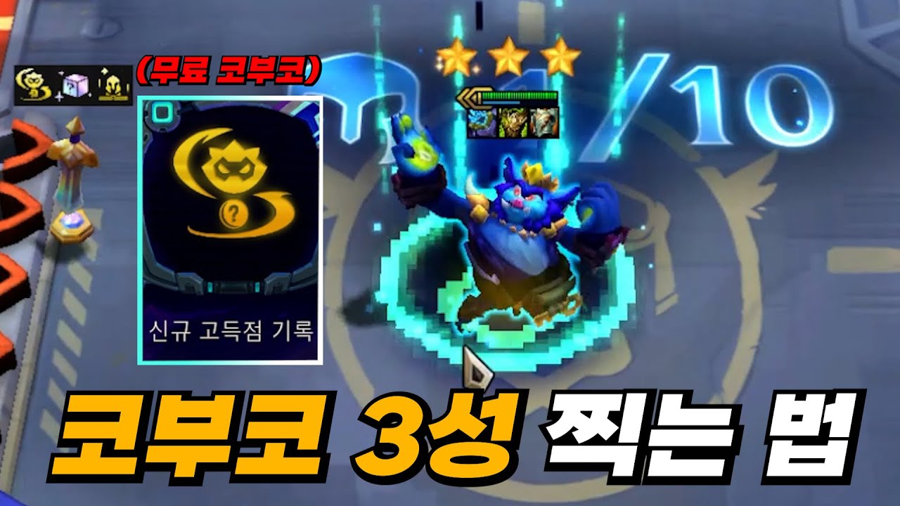 제대로 미친 코부코(진짜 미침)