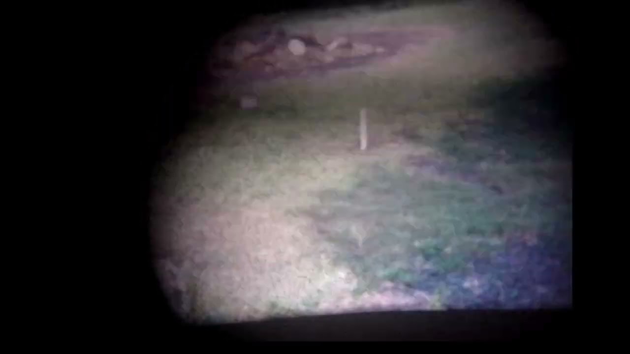 Brown Family Archive films  1960's