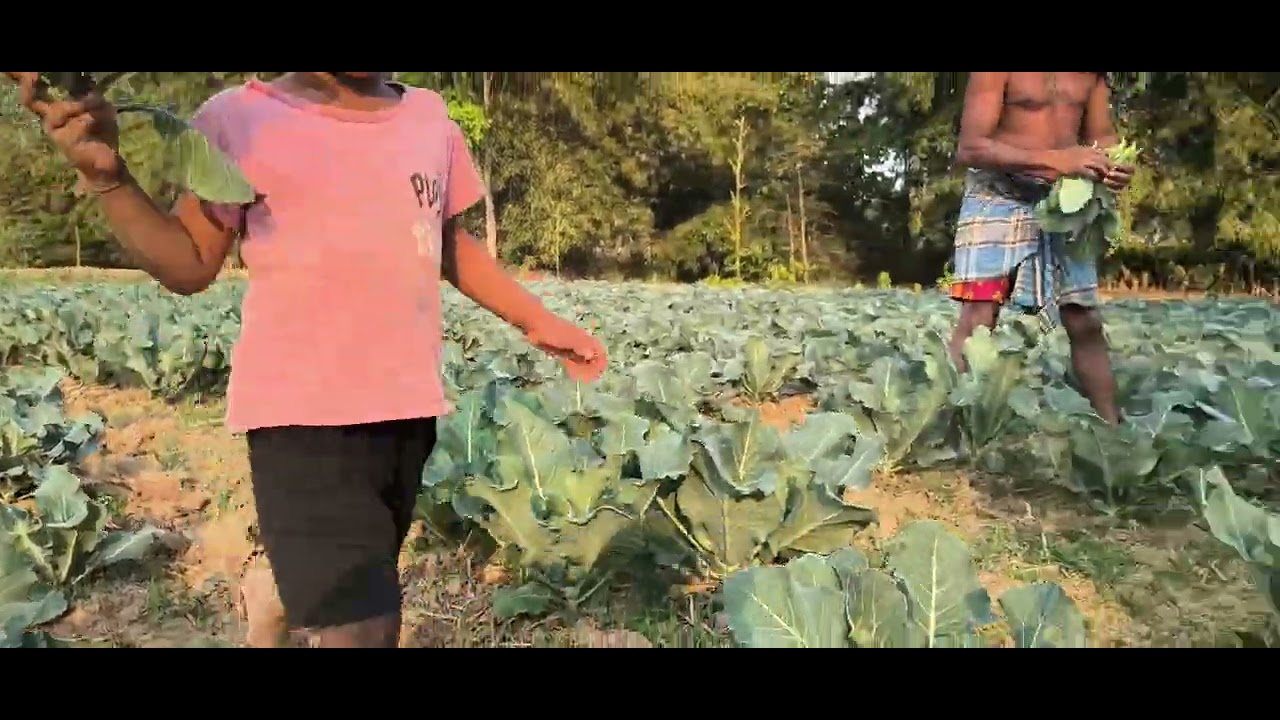 Mr tuku #fishing #farming 