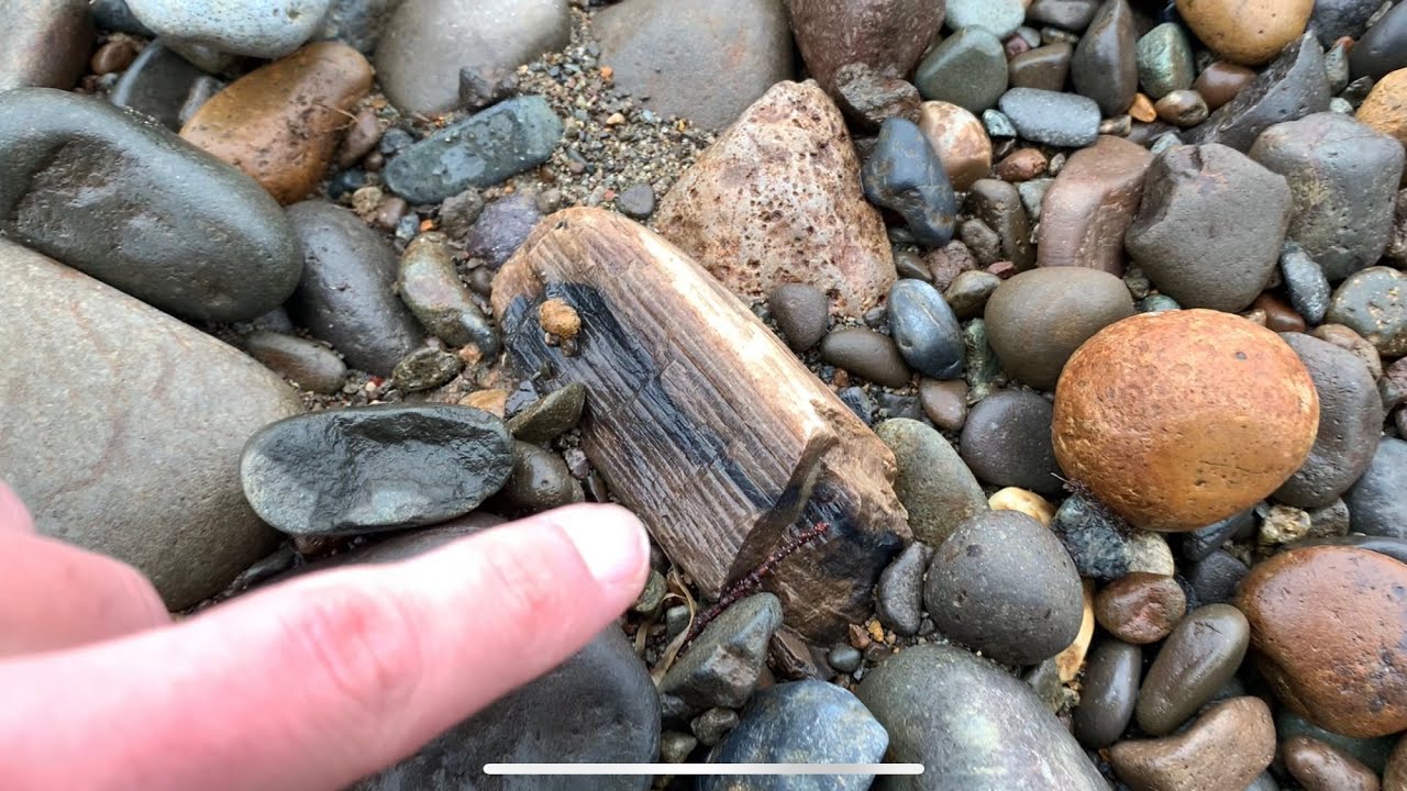 Rock Hounding In Washington State | agates, petrified wood, and jasper!!