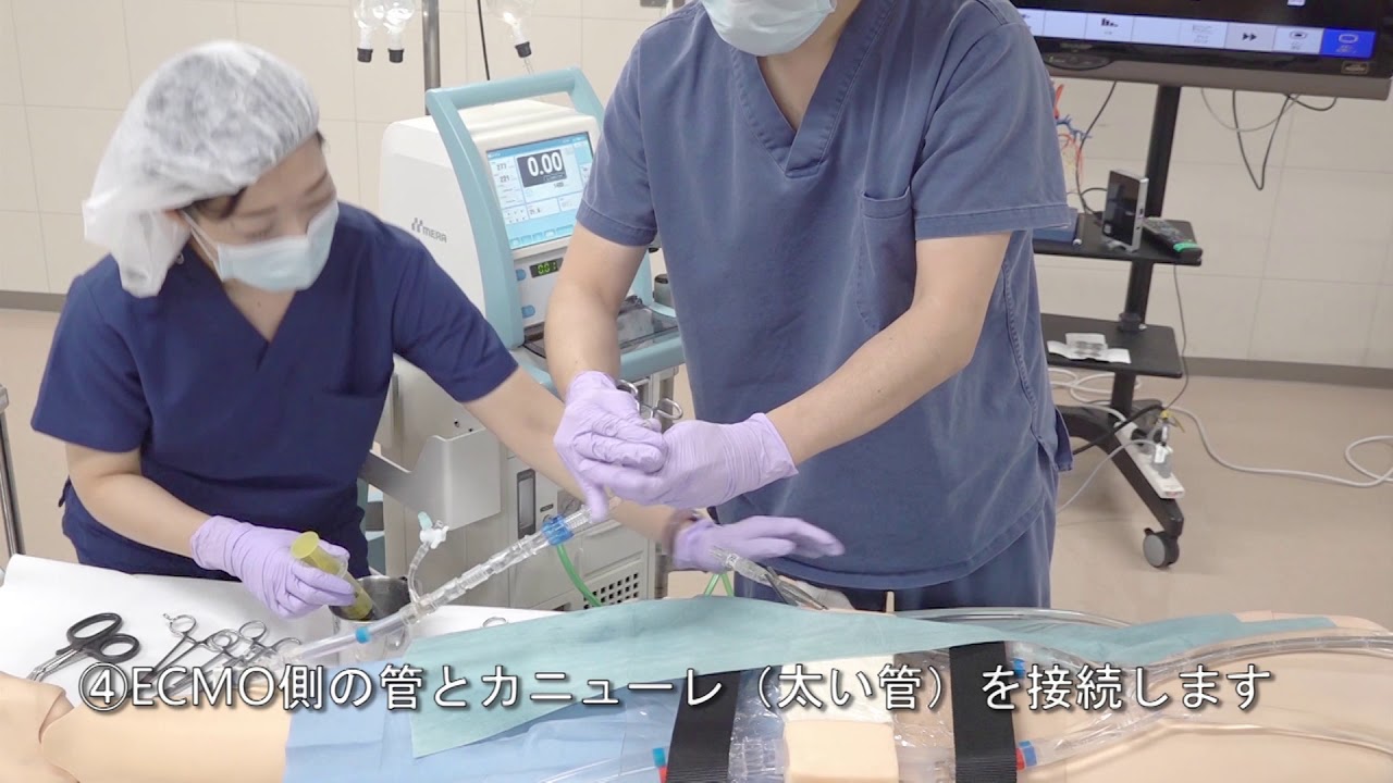 ECMOトレーニングの様子