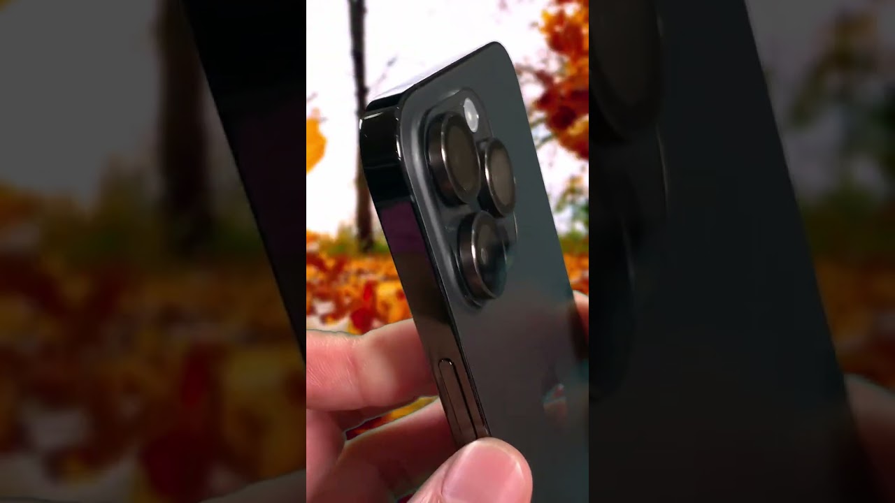 iPhone 14 Pro Max: Space Black Goes Well With Fall Colors!