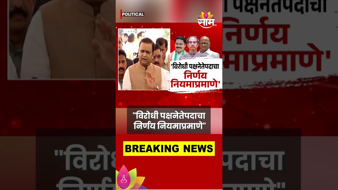Rahul Narvekar News: विरोधी पक्षनेतेपदाबाबत राहुल नार्वेकरांचं मोठं विधान #shorts