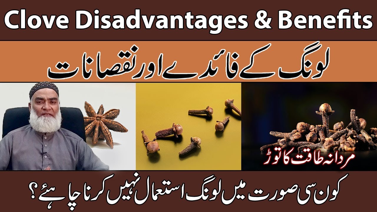 Benefits & Disadvantages Of Clove Urdu/Hindi | Long Ke Fayde Aur Nuksan | Al-Razaqi Health Recover