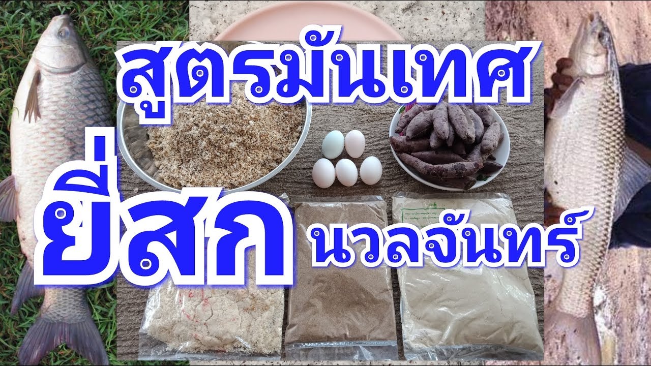 สูตรเหยื่อยี่สกนวลจันทร์
