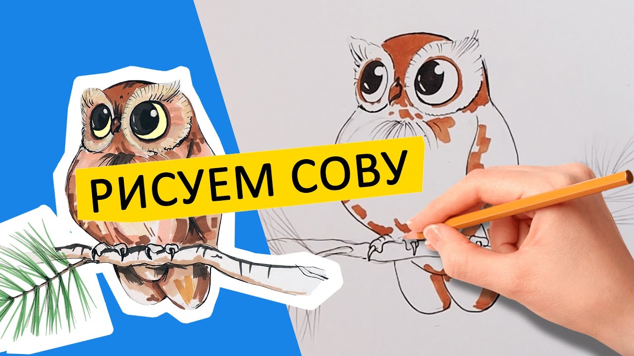 КАК НАРИСОВАТЬ СОВУ, легко по схеме