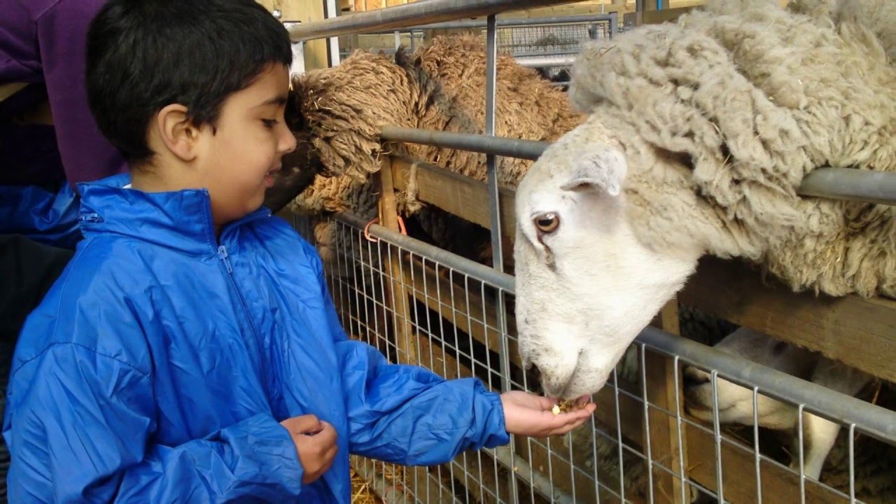 Smithills Farm , Bolton , England , UK.