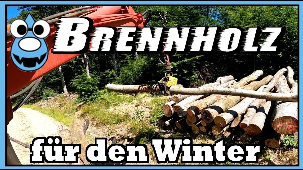 Energiekrise gelöst 😎 Brennholz gekauft