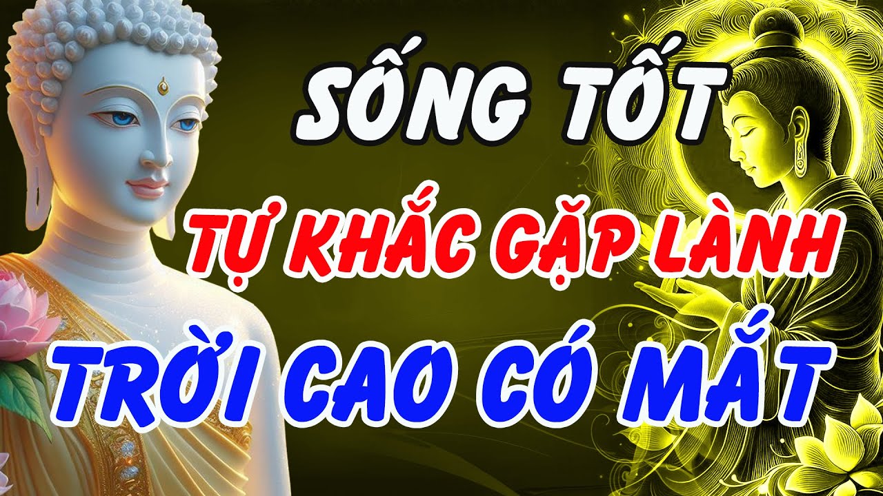 Không Cần Tranh Hơn Thua – Lời Phật Dạy Sống Tốt Tự Khắc Gặp Lành, Trời Cao Có Mắt
