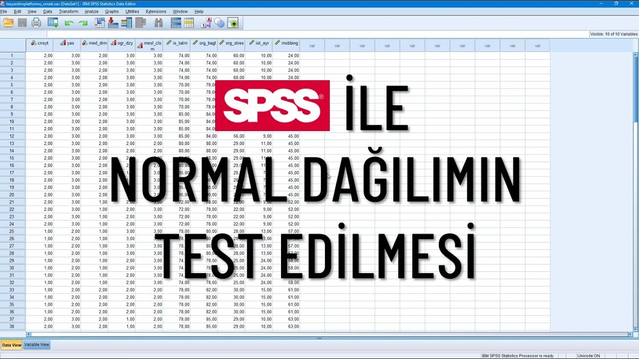 SPSS İle Normal Dağılımın Test Edilmesi | Dört Farklı Yoldan Baştan Sona Tüm Detayları İle