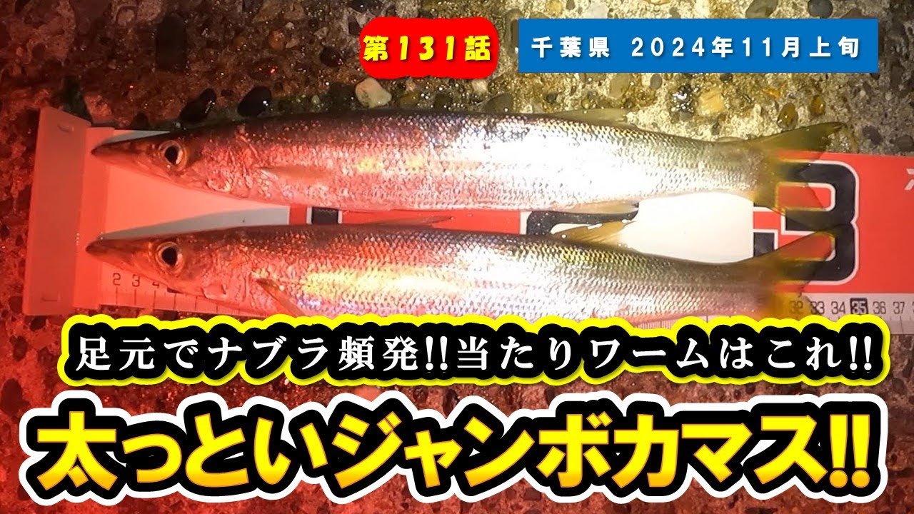 【千葉県 房総】ジャンボカマス!!足元でナブラ頻発!!当たりワームがあった!!【ルアー釣り/ワーム】