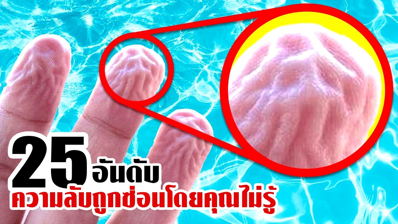 25 ความลับที่ถูกซ่อน..โดยที่คุณไม่เคยรู้ (มัดรวมยาวๆ)