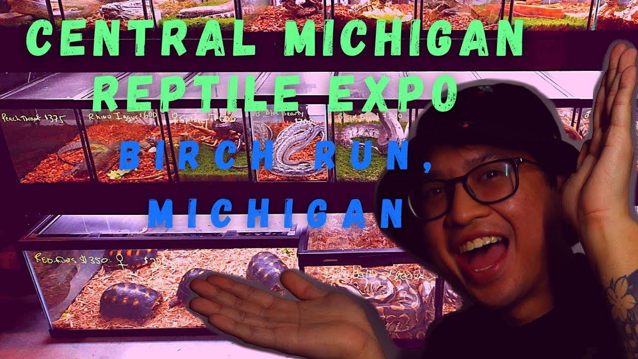 Watch this if you've never been to a REPTILE EXPO! || CENTRAL MICHIGAN REPTILE EXPO!  Episode 2