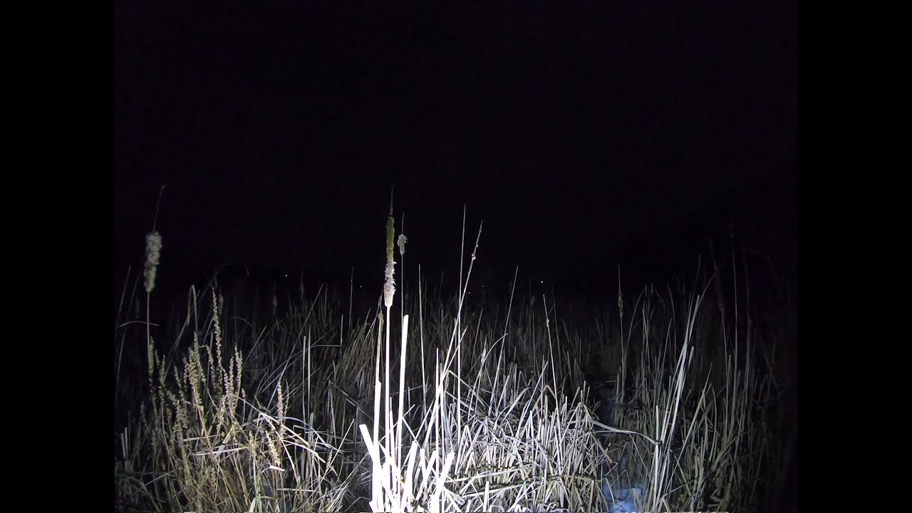 Crossing creepy frozen swamp to get back home