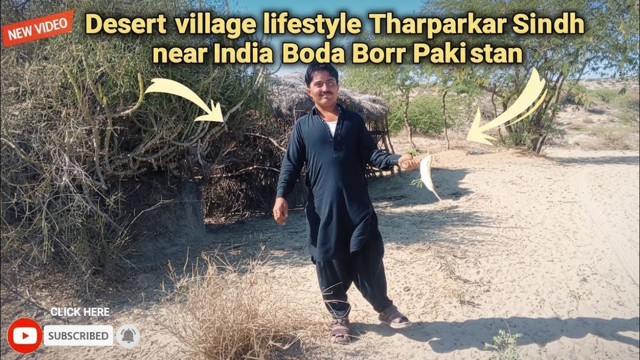 Desert village lifestyle tharparkar Sindh near India Bader Pakistan @janiwahero 